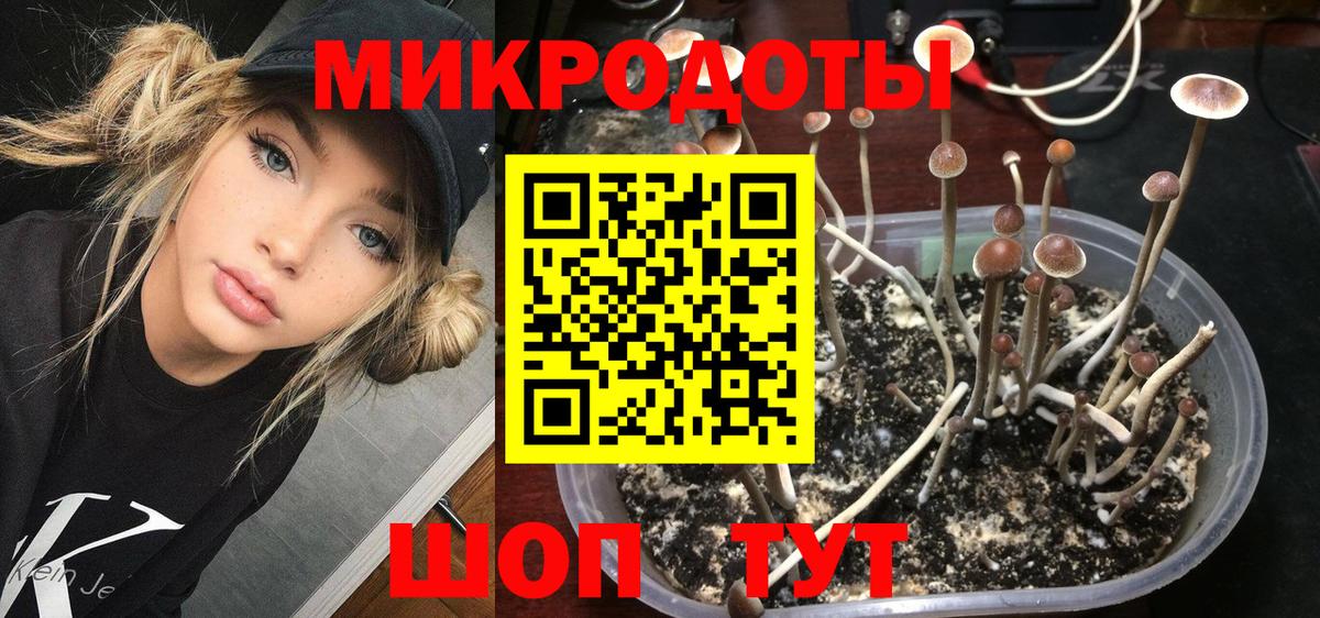 Псилоцибиновые грибы Cubensis  Псилоцибиновые грибы мицелий  Вход с VPN  продажа наркотиков  Сафоново 