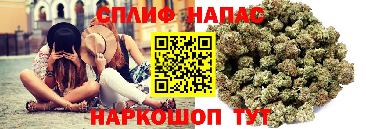Бошки Шишки MAZAR Сафоново